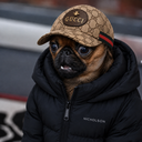 Bosco